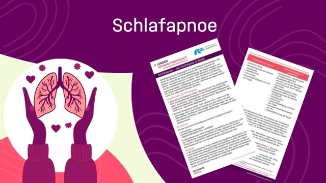 Vorschaubild Factsheet Schlafapnoe