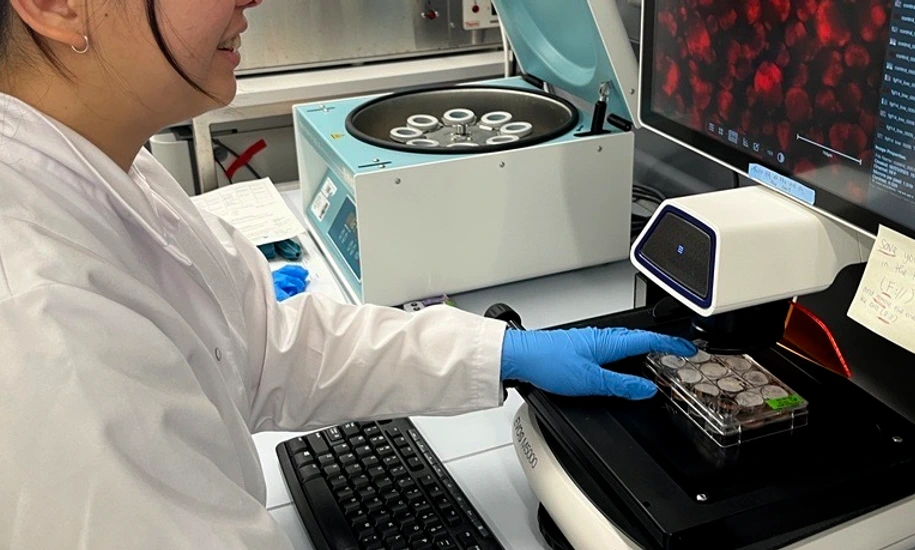 PhD Student working on Islet Transplants
