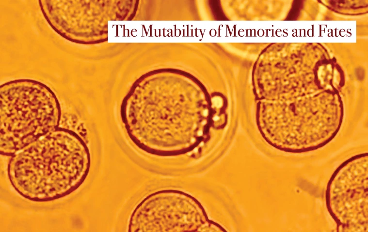 Early Mouse Embryos