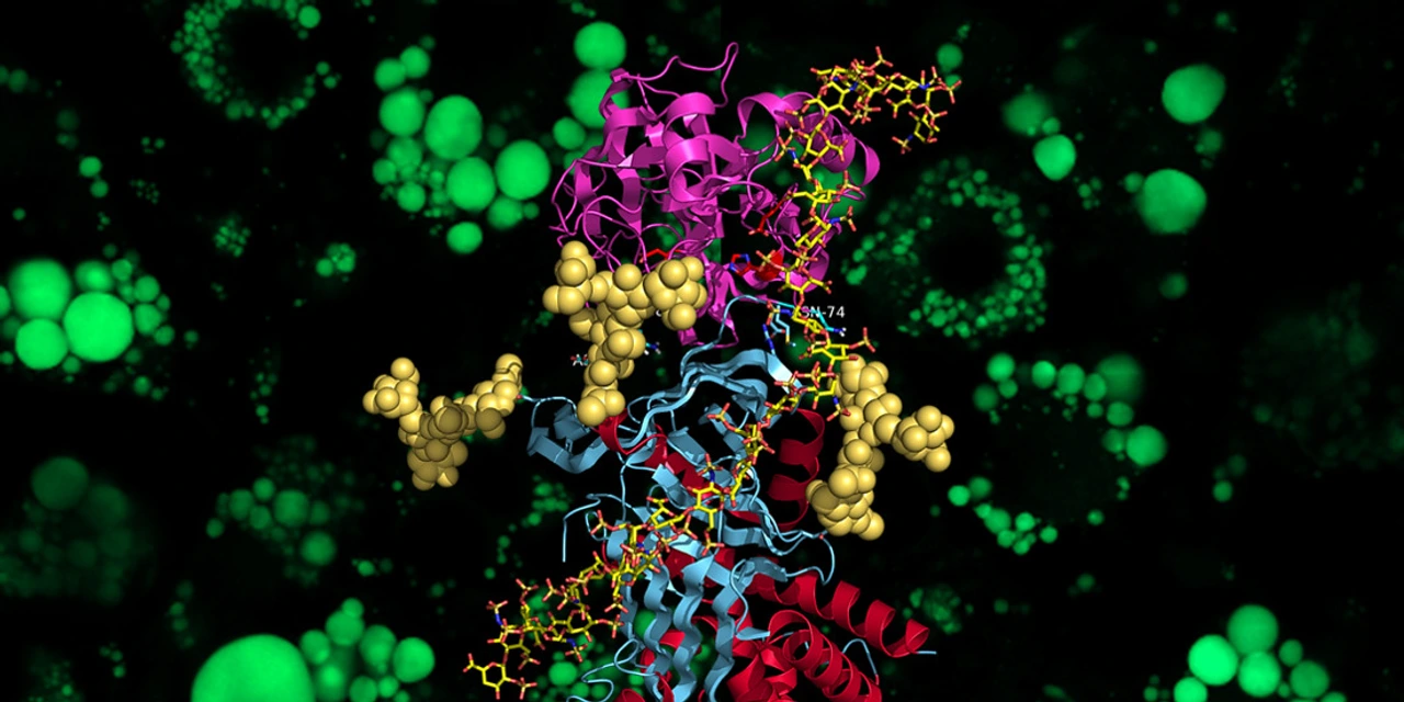 3D rendering of the crystal structure of Vaspin