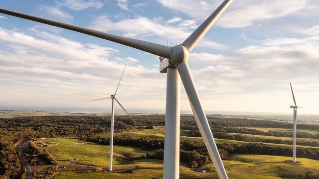 Wind farm aerial shot