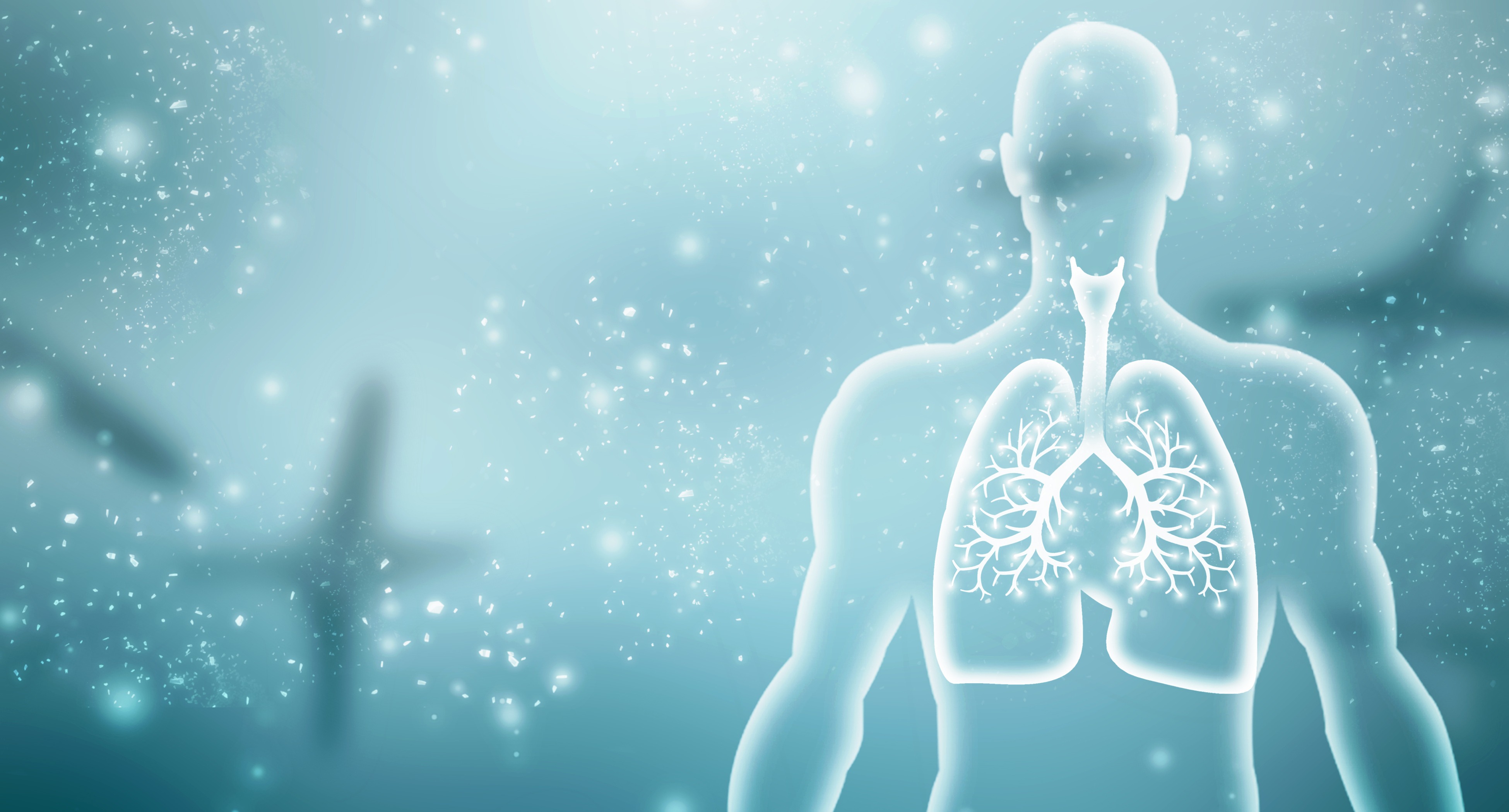 Healthy Human Lungs 2d illustration