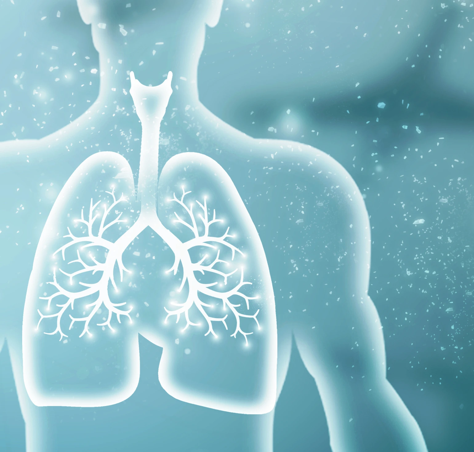 Healthy Human Lungs 2d illustration