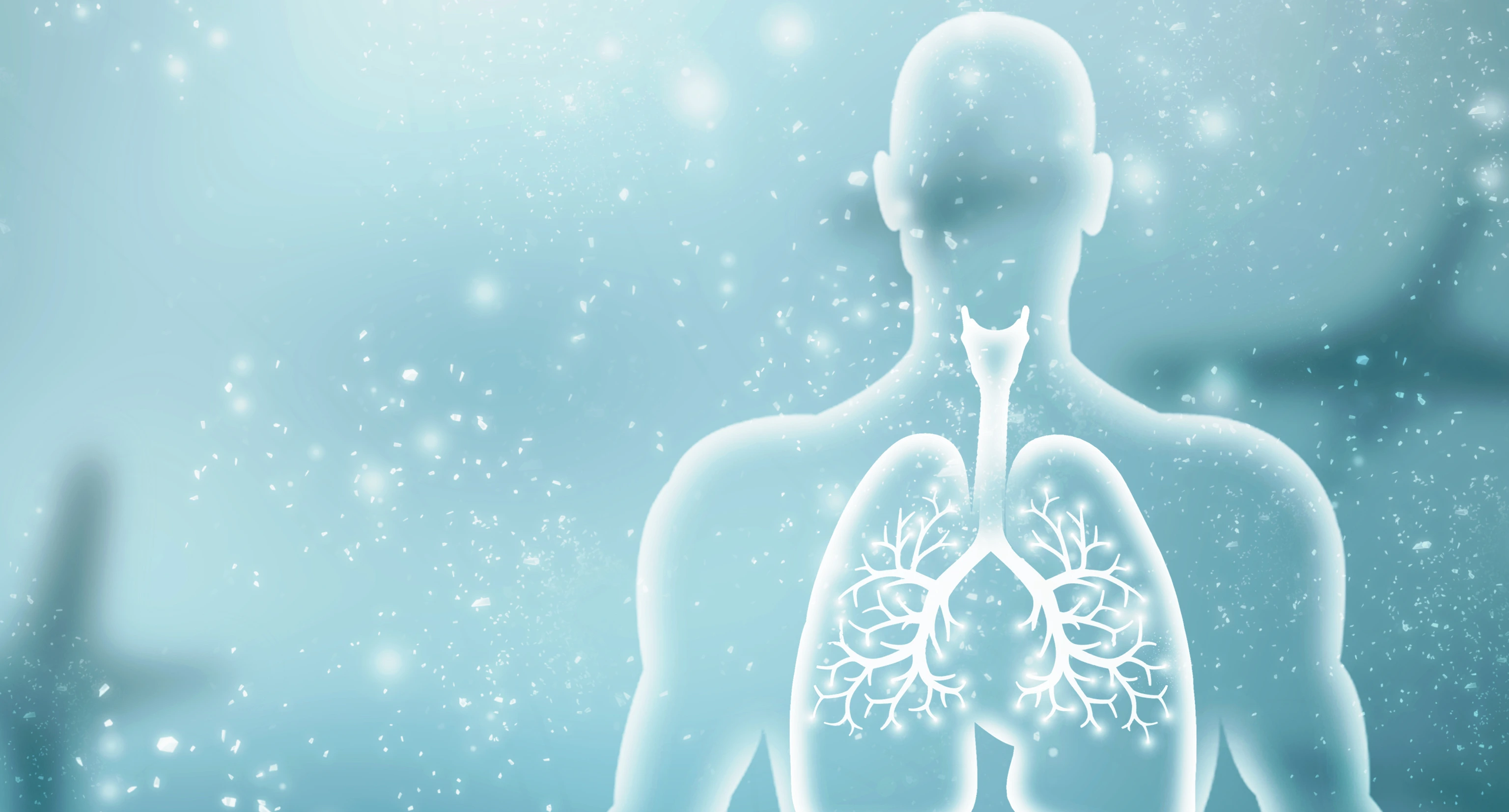 Healthy Human Lungs 2d illustration