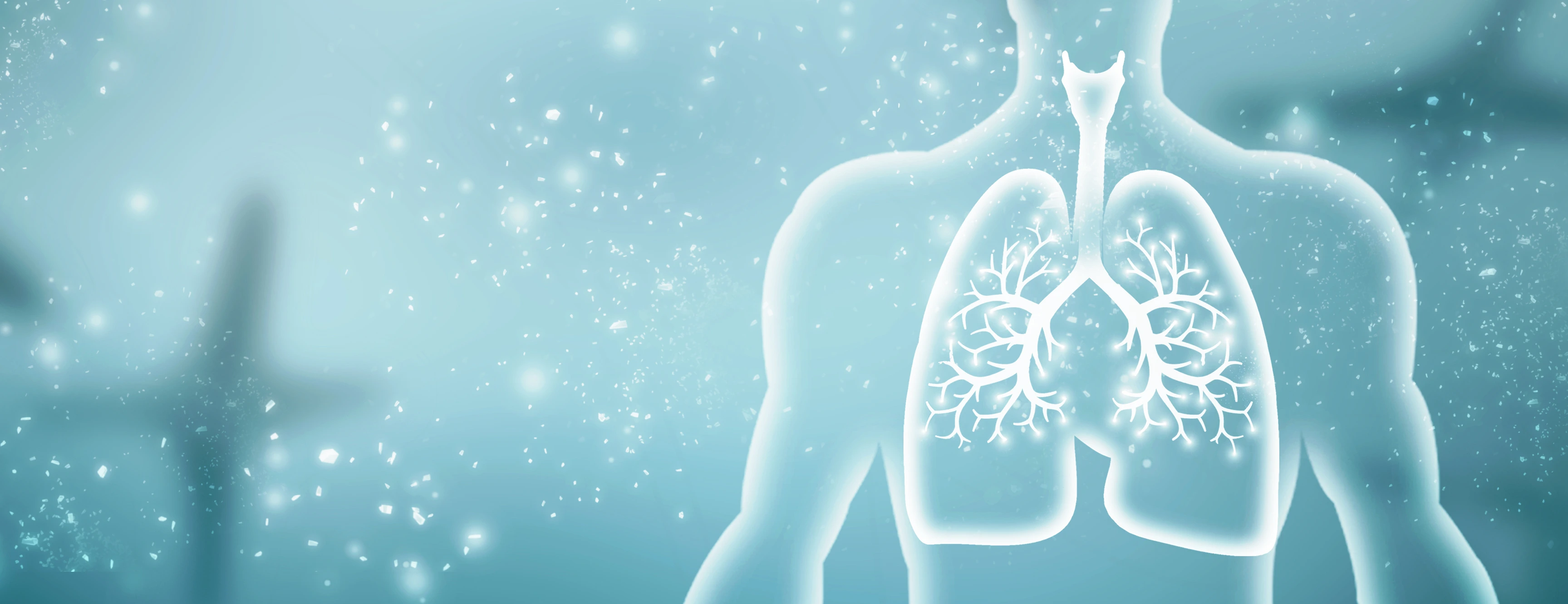 Healthy Human Lungs 2d illustration
