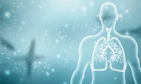 Healthy Human Lungs 2d illustration