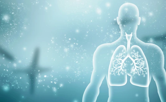 Healthy Human Lungs 2d illustration