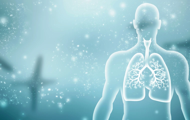 Healthy Human Lungs 2d illustration