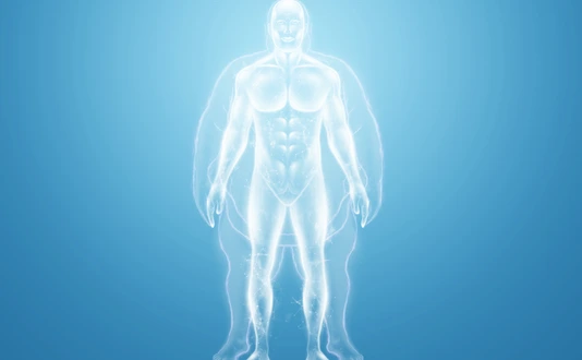 Obesity weight loss