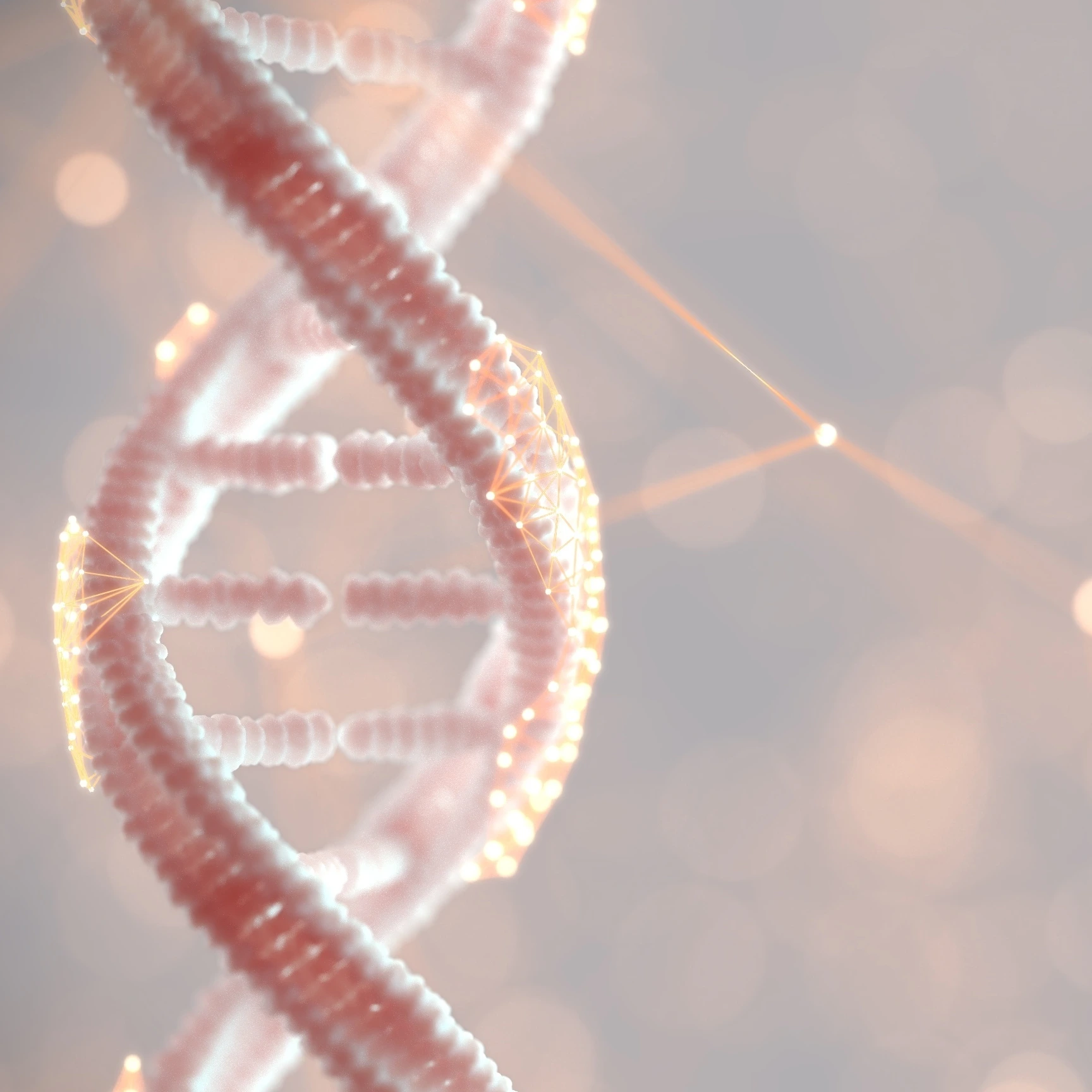 DNA genetic material