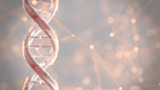 DNA genetic material