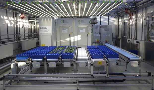 Arabidopsis PSI facility
