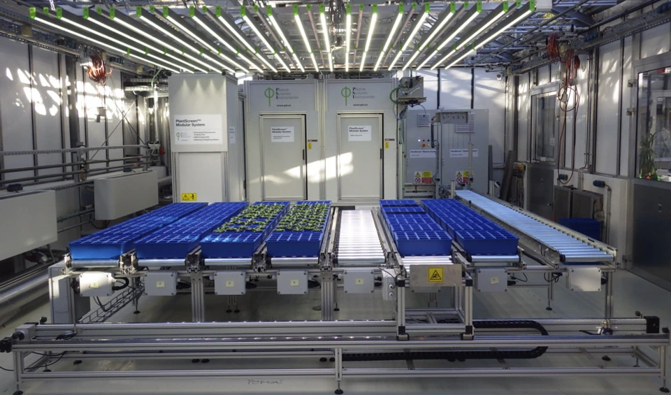 Arabidopsis PSI facility