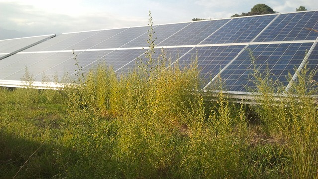 Nouveau financement participatif solaire dans l'Aude