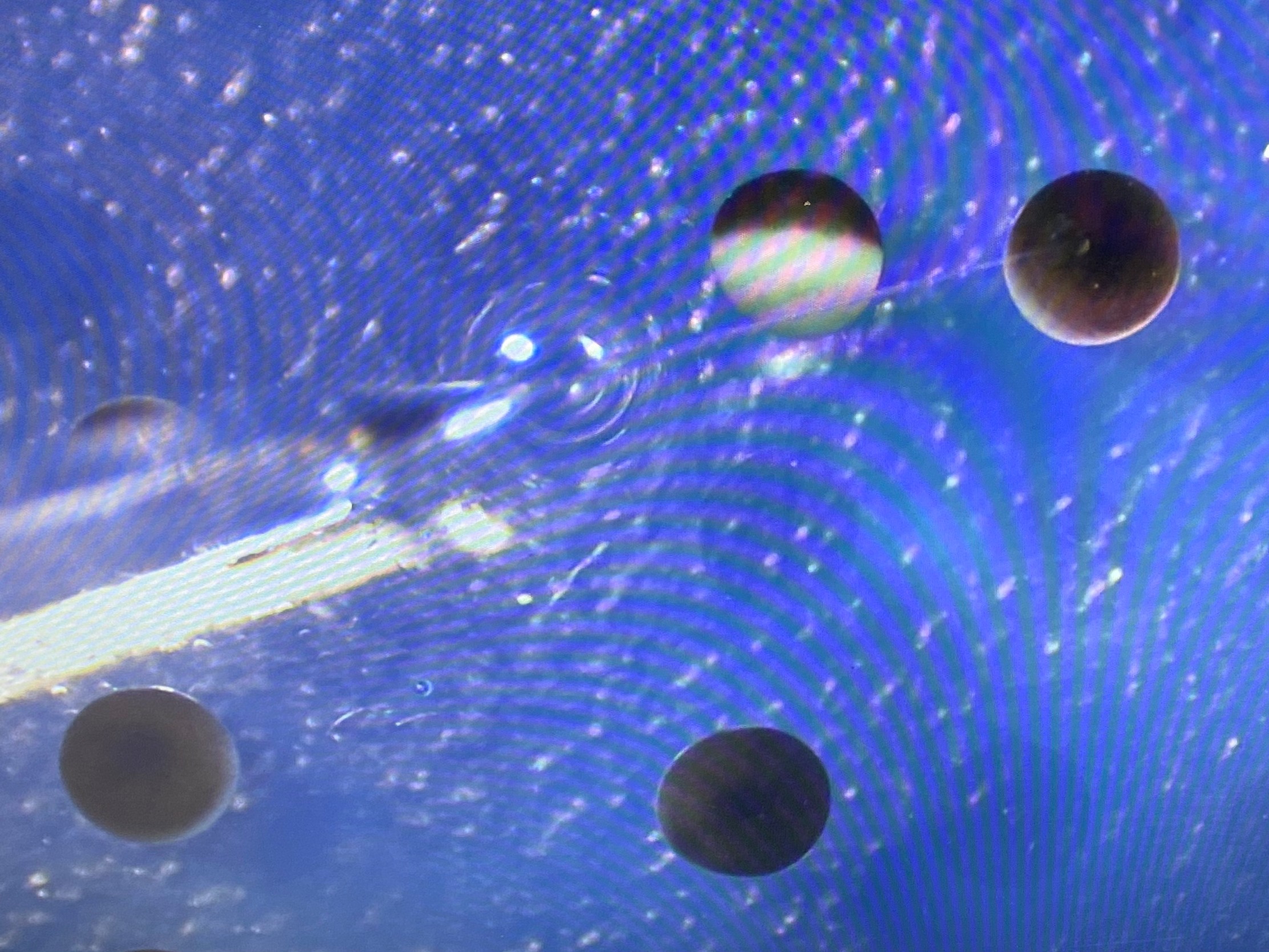 Art_the_IES_IMG_6601