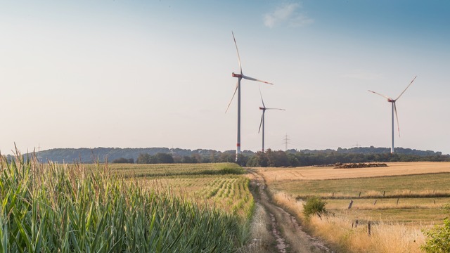 BayWa r.e. will showcase its main projects and services for the wind energy sector at Wind Europe.