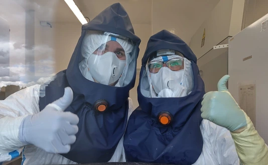 ISIDORe Wildflu Project
