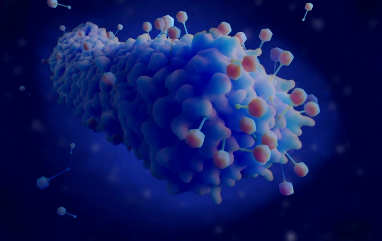 Bacteriophagees infecting a bacterium
