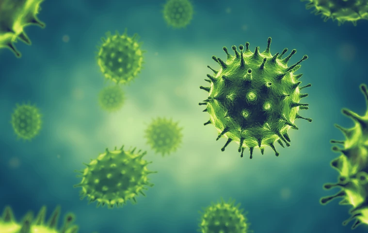 Influenza virus cells.