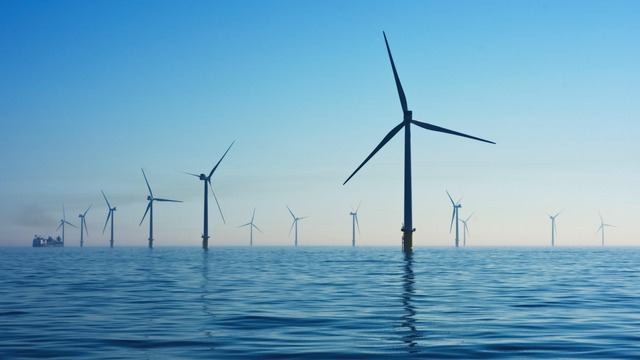BayWa r.e. partners for Offshore Wind tender