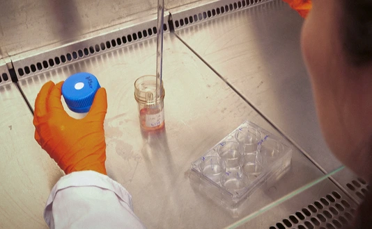 Semb Lab Behind the Scenes