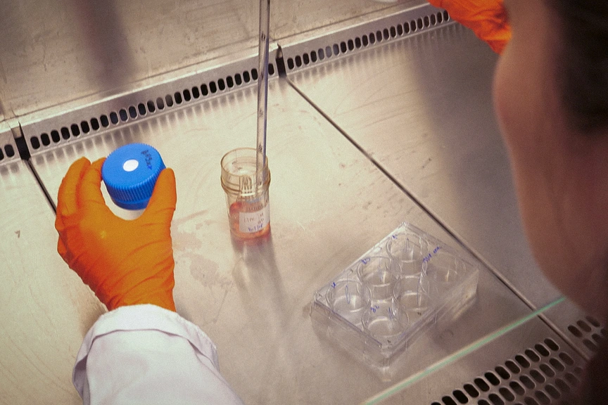 Semb Lab Behind the Scenes