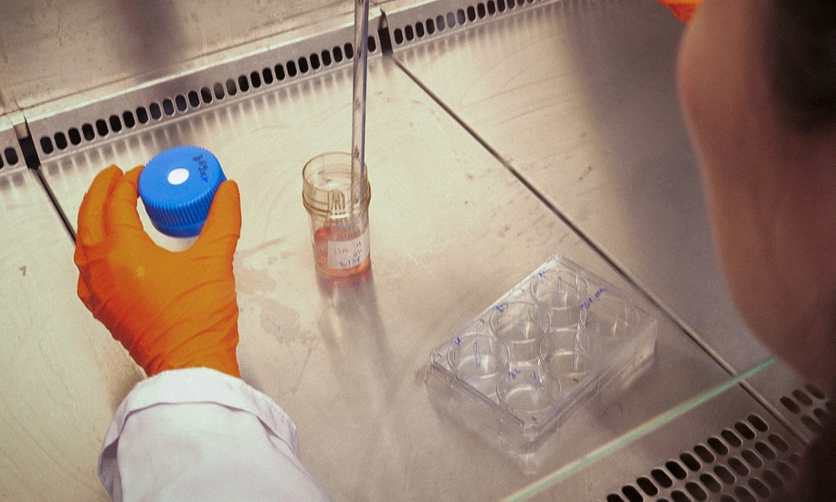 Semb Lab Behind the Scenes