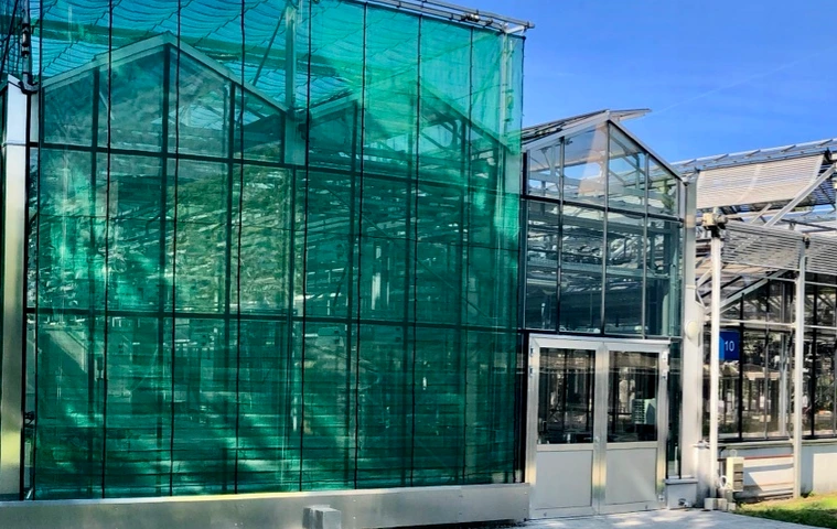 EUS_greenhouse