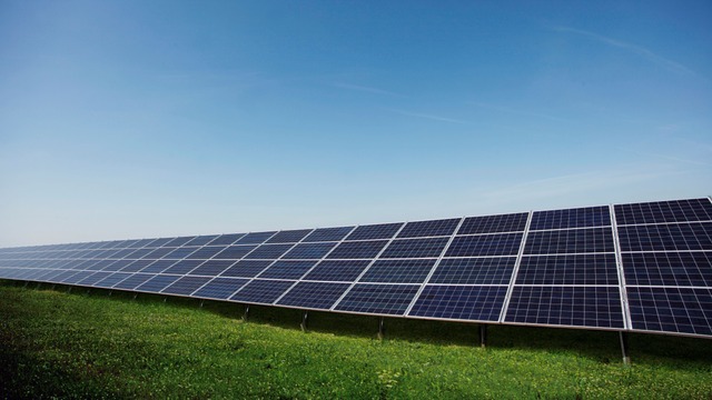 Solar plant on green grassland