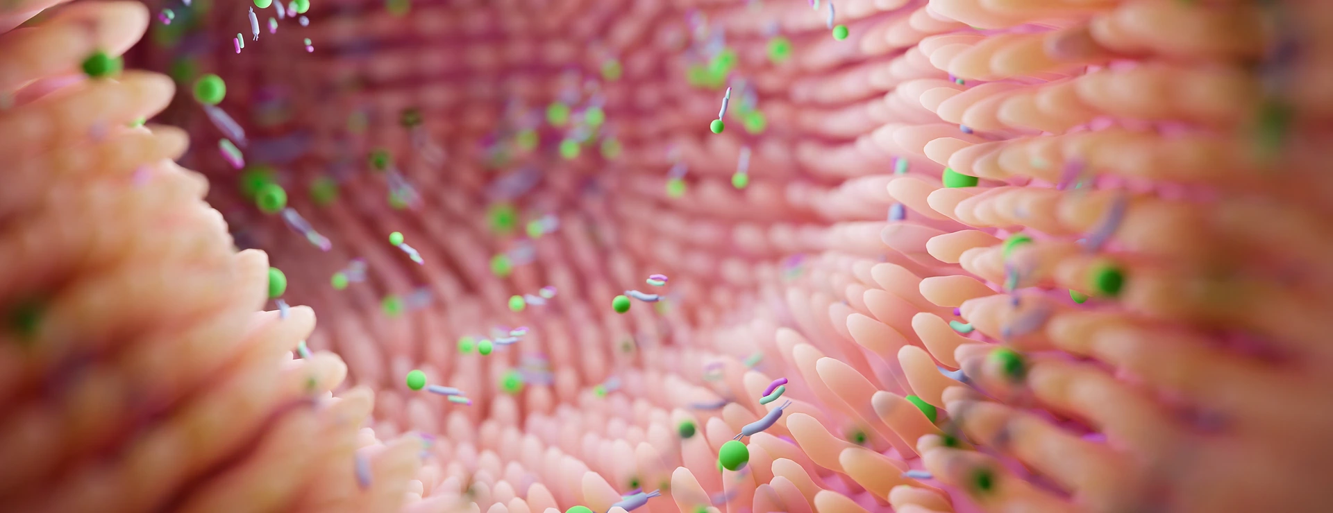 Microbiome intestine factories and microbiota. Gut health 3d render. Microvilli with factories in intestine