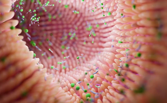 Microbiome intestine factories and microbiota. Gut health 3d render. Microvilli with factories in intestine