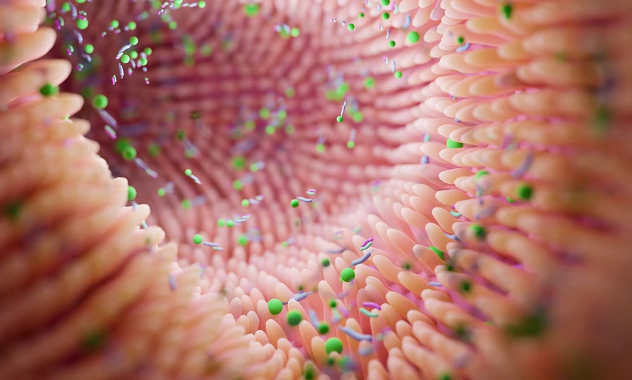 Microbiome intestine factories and microbiota. Gut health 3d render. Microvilli with factories in intestine