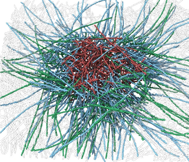 Cryopng - actin filament-rich network