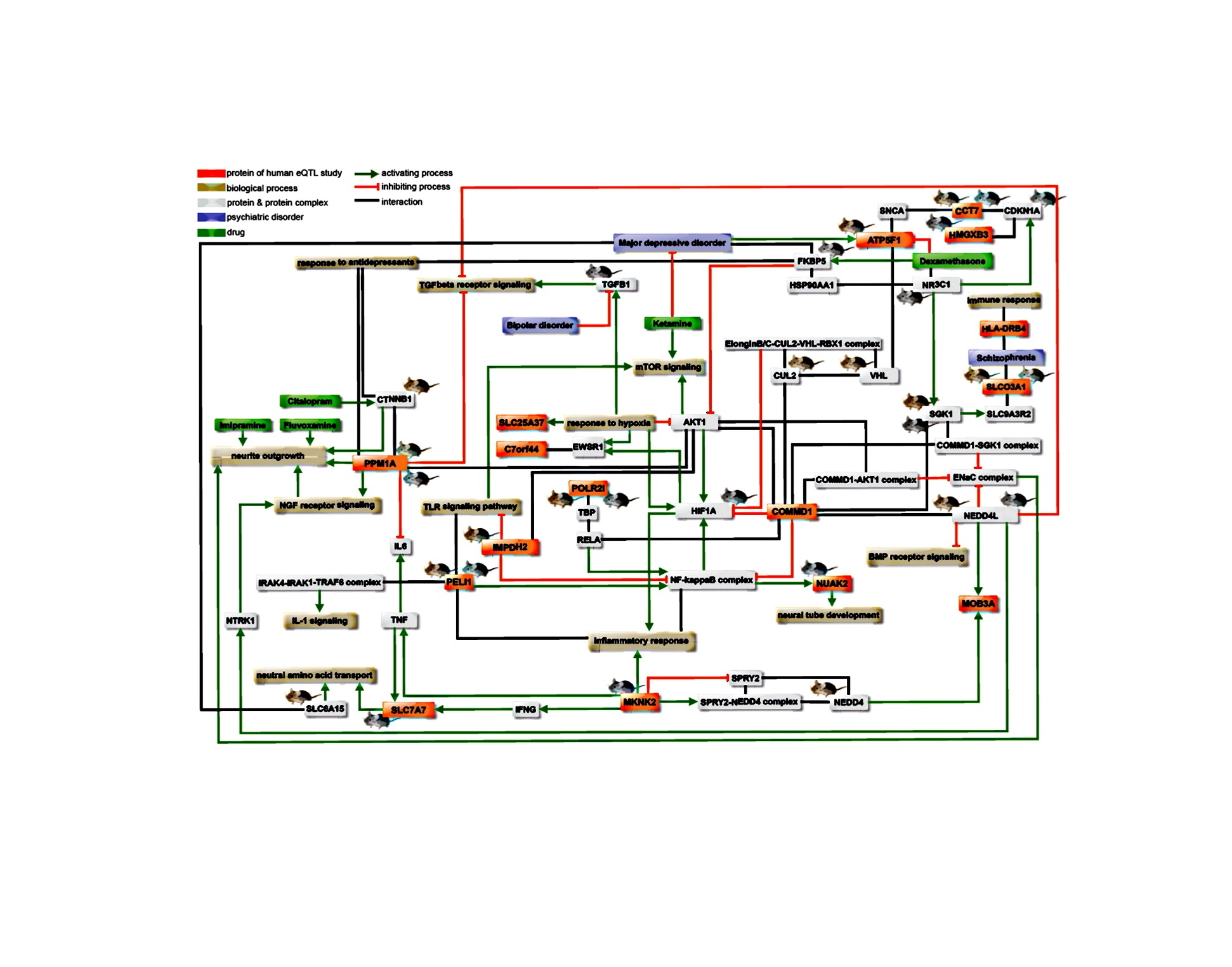Biocuration_CIDeR_Project