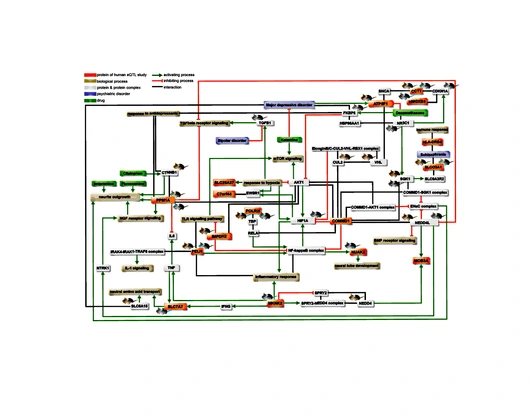 Biocuration_CIDeR_Project