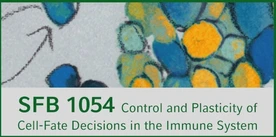 SFB1054 Logo