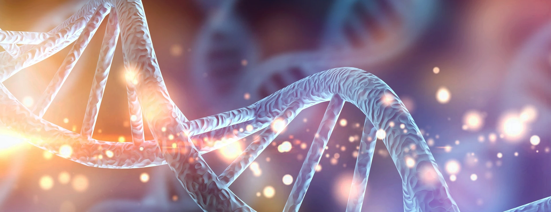 DNA Helix 3d Rendering