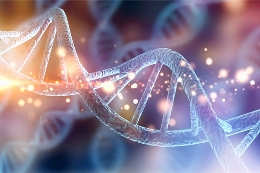 DNA Helix 3d Rendering