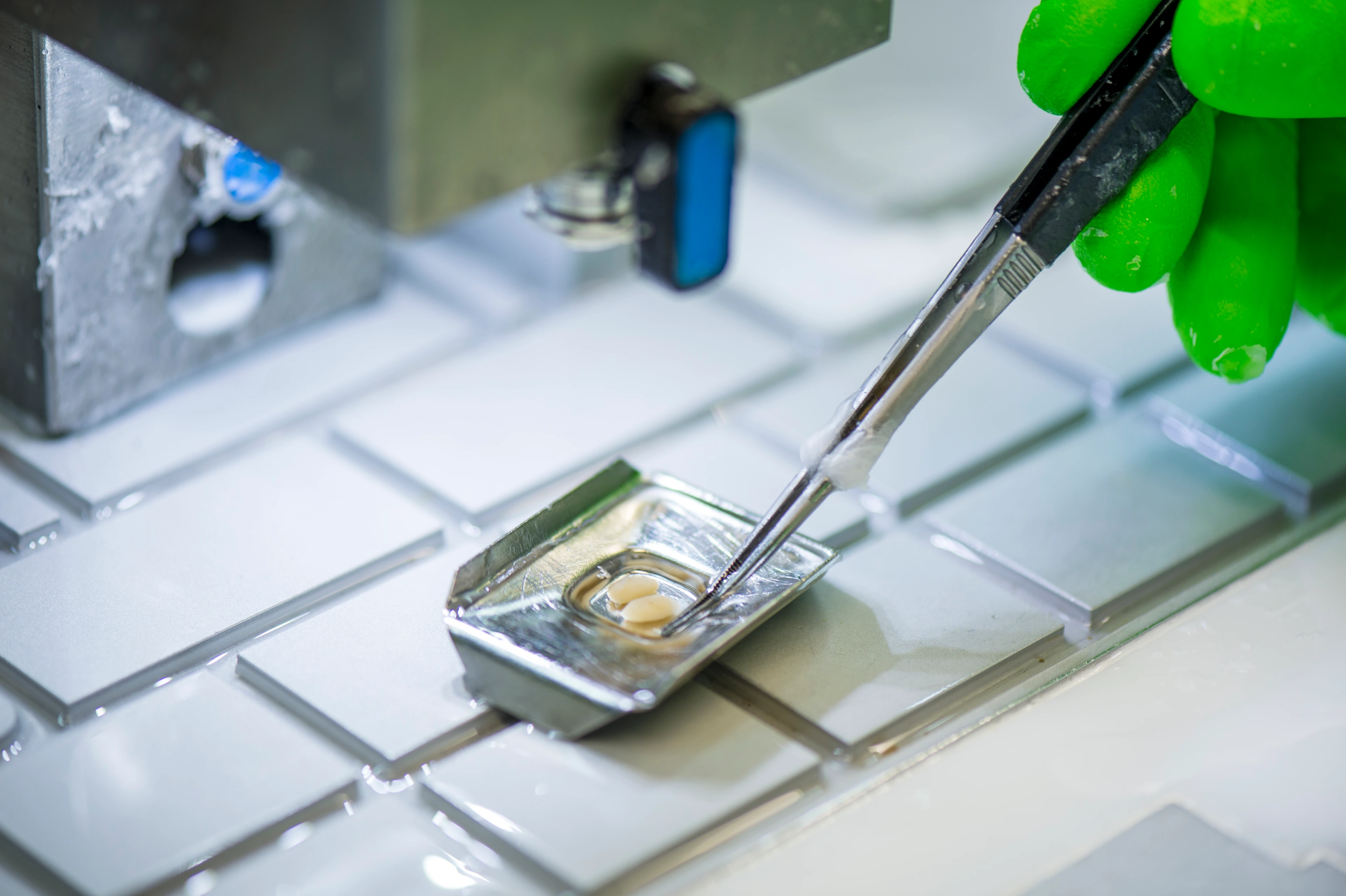 Einbettung von Gewebeproben in Parafin