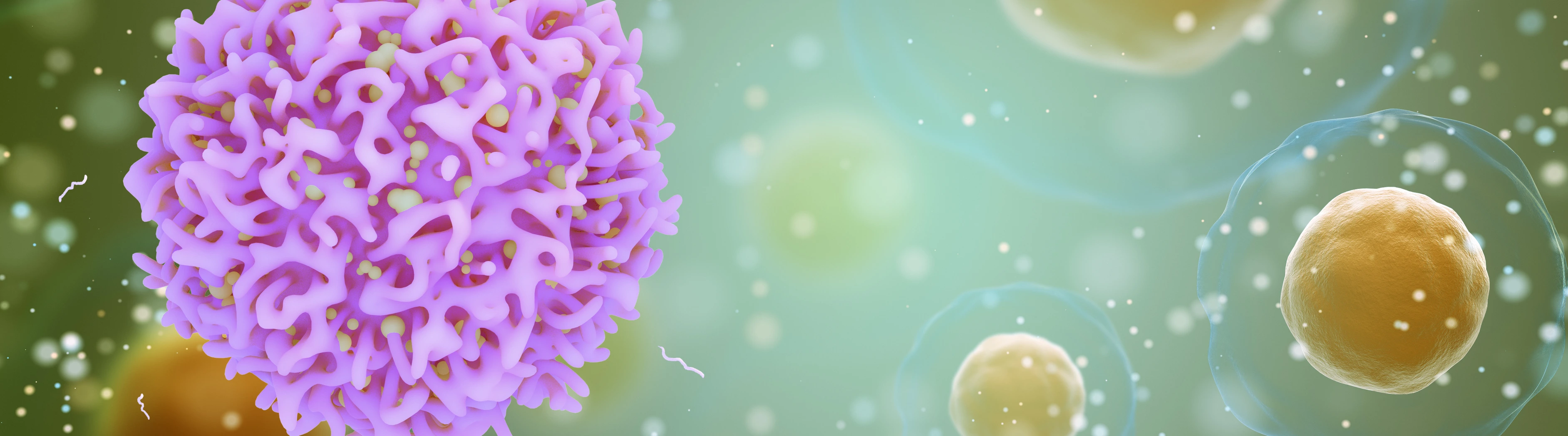 [Translate to German:] 