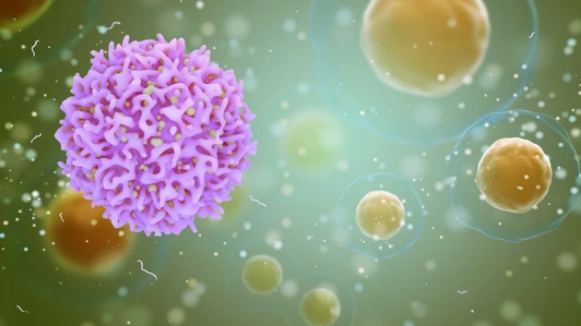 T-Cells and Cancer Cells