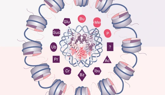 Schneider_Novel_Histone_Modifications
