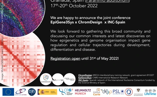 EpIC - EpiGene3Sys meets INC_Spain to ChromDesign the Genome