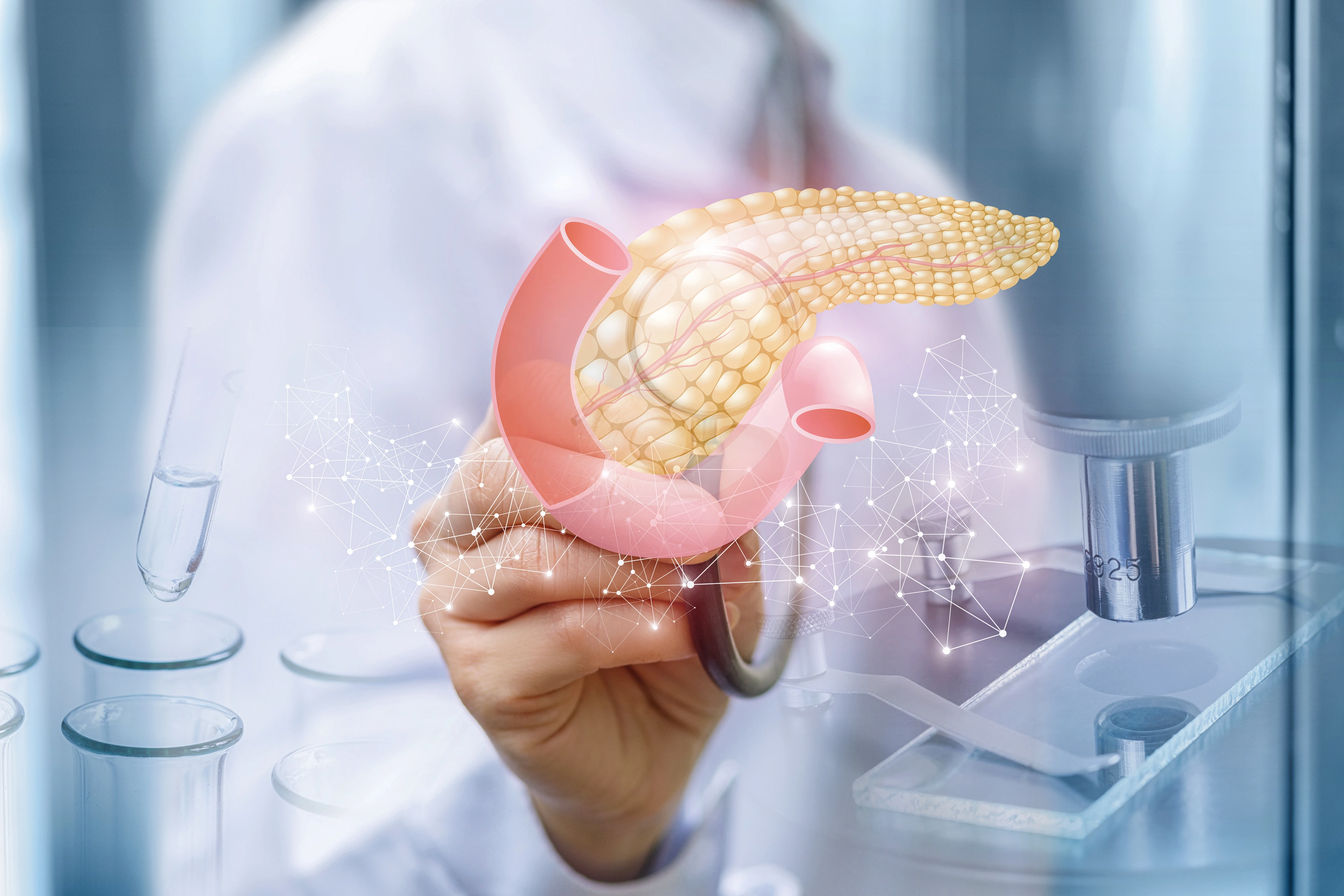 3D illustration of a pancreatic organoid
