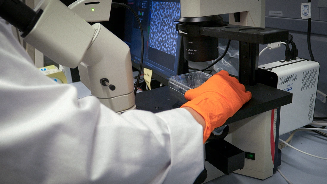 Semb Lab Behind the Scenes