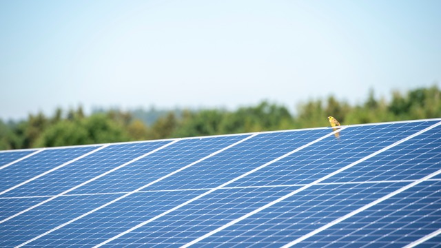 BayWa r.e. succeeds in Germany's first innovation tender