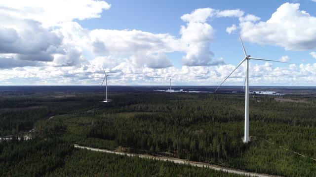 Wind turbines sorrounded by a forest landscape