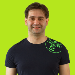 Porträt Sedin Babajic