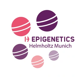 Epigenetics at Helmholtz Munich logo