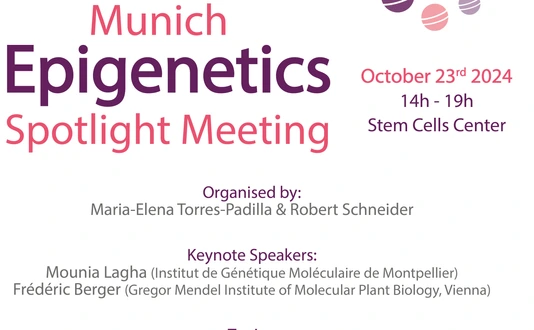 2024_Epigenetics_Spotlight_Poster